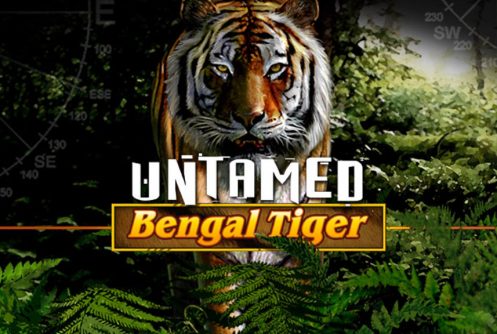 Untamed: Bengal Tiger Pokie Game – A Fierceful Ride